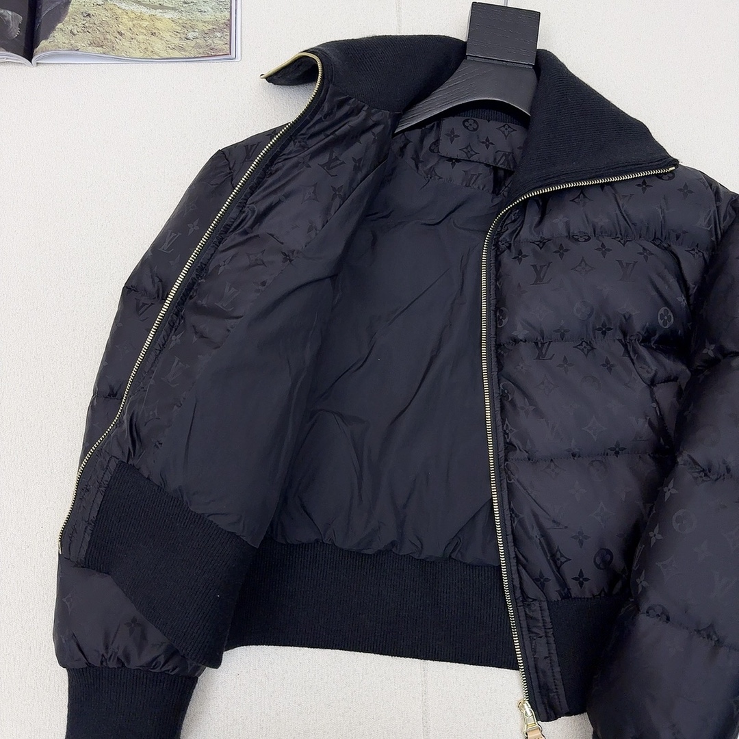 Louis Vuitton Down Jackets